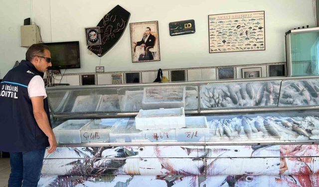 Didim'de su ürünleri denetimleri sürüyor