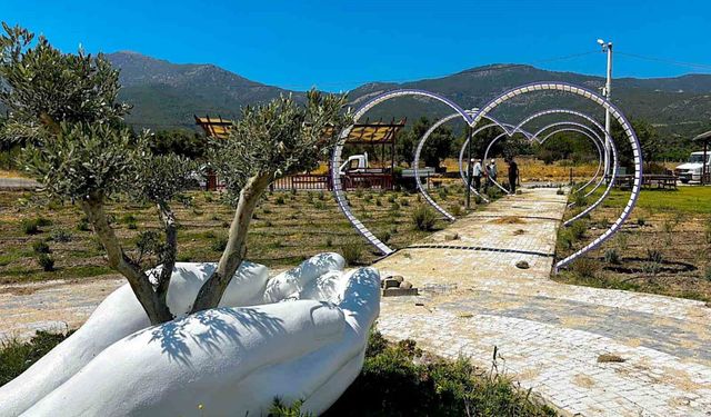 Fotoğraf tutkunları Söke'de lavanta bahçesine akın edecek