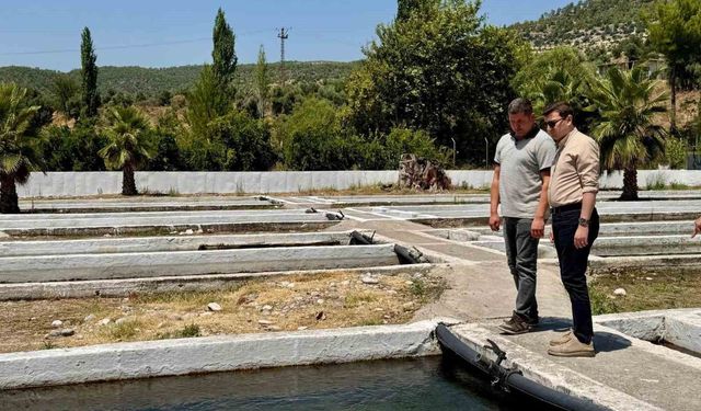 Kaymakam Sözen, tarım müdürlüğü ve su ürünleri işletmesinde incelemelerde bulundu
