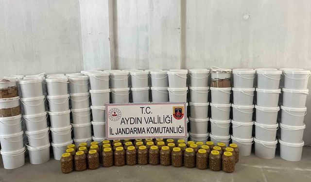 Köşk'te 3 milyon liralık sahte gıda operasyonu: '4 ton salça ve 300 kilo zeytin ele geçirildi'