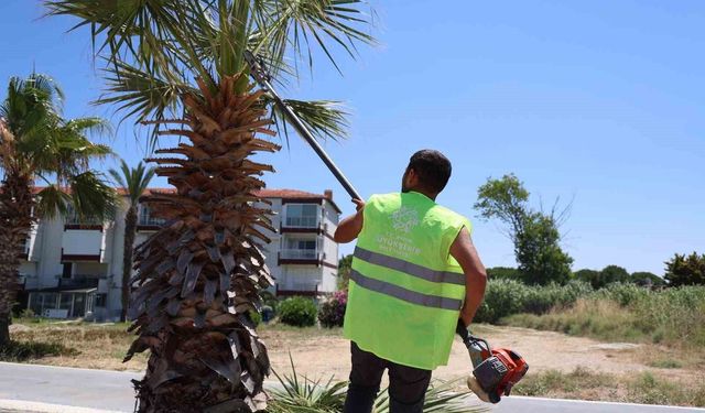 Kuşadası'nda yeşil alanlarda kapsamlı bakım ve düzenleme çalışması