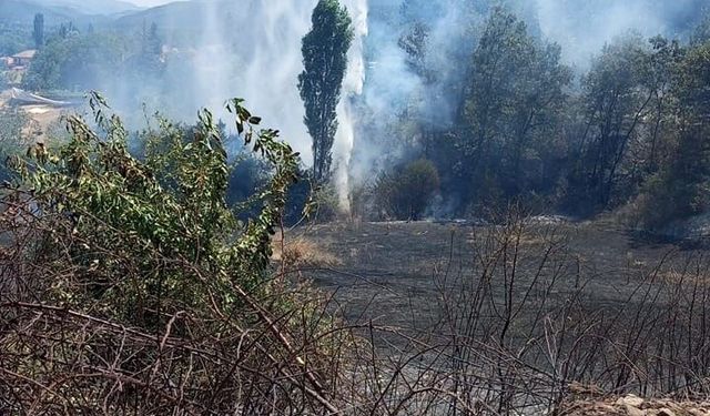 Kuyucak'ta ziraat alanındaki yangın ormana ulaşmadan söndürüldü
