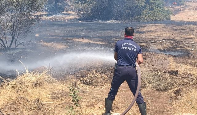 Makilik alanda çıkan yangın büyümeden söndülürdü