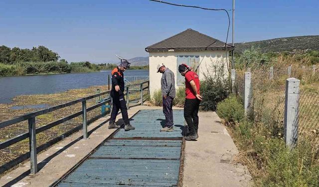 Menderes'te kaybolan Şahin için arama çalışmaları genişletildi
