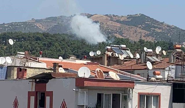 Mesire alanındaki yangın kısa sürede söndürüldü