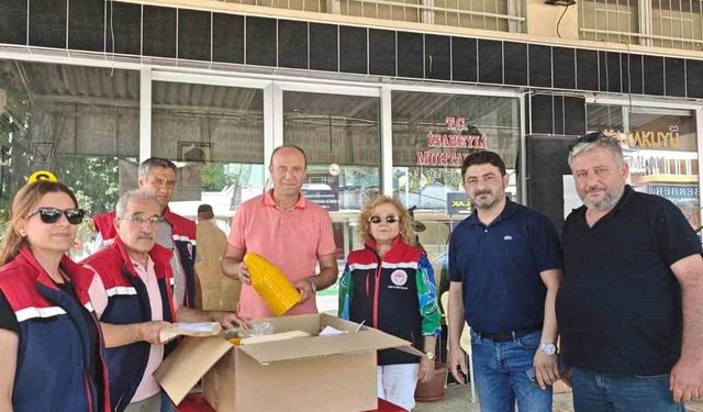 Nazilli'de 2 bin 500 Akdeniz meyve sineği tuzağı dağıtıldı