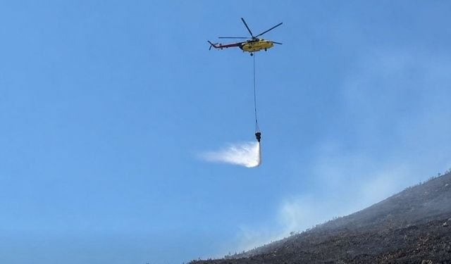 Söke'de otluk alan yangını