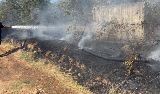 Zeytinlik alanda çıkan yangın, büyümeden söndürüldü