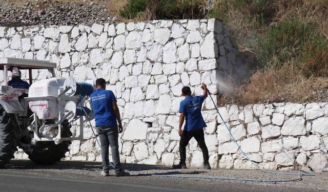 Bozdoğan'da haşereyle mücadele sürüyor