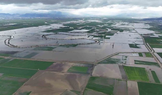 Aydın'da 2027 üretim yılı havza ürün desenleri belli oldu