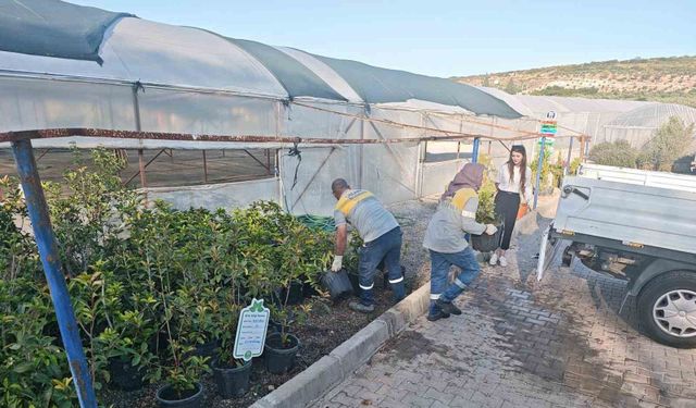 Didim Belediyesi'nden yeşil hamle