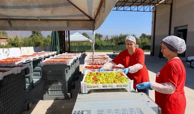 EFELER’İN FABRİKASINDA KIŞA HAZIRLIK MESAİSİ