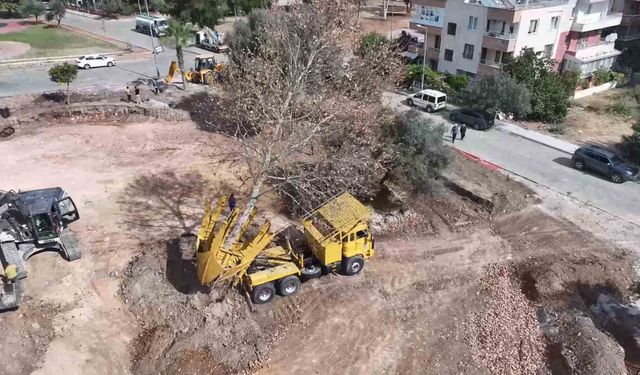 Başkan Gençay: 'Yeşil alanlarımızı gelecek için koruyoruz'