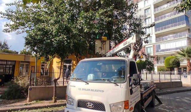 BAŞKAN YETİŞKİN’İN ÖNCÜLÜĞÜNDE EFELER’İN YEŞİL ALANLARINA ÖZENLİ DOKUNUŞ