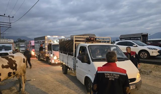 Nazilli Hayvan Pazarı açıldı, denetimler sıkılaştırıldı