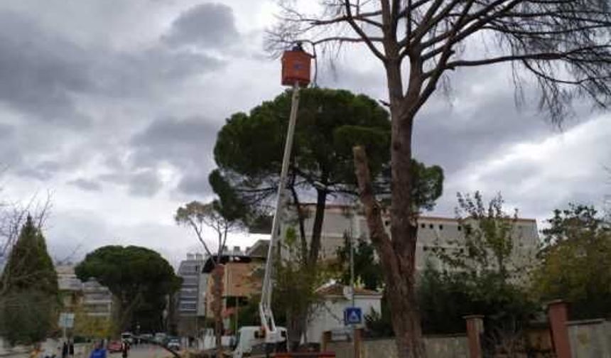 Aydın daha da güzelleşiyor