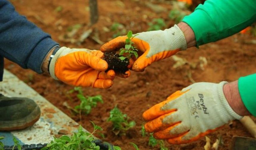 Yeşil Ekipler Muhtarlıkları Çiçeklendirdi
