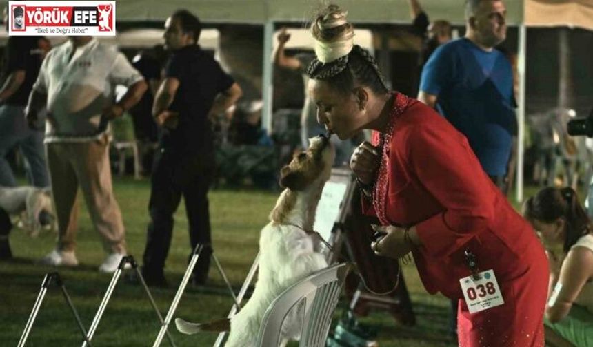 Kuşadası’nda renkli köpek şöleni: ’International Dog Show’ sona erdi