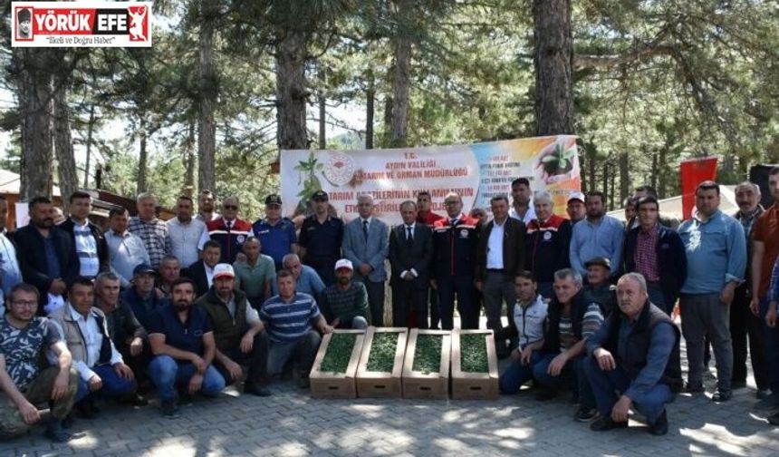 Kuyucak’ta 220 bin domates fidesi dağıtıldı