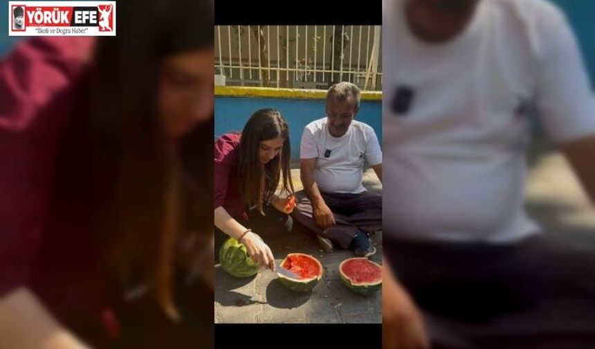 Aydın’da yapay zeka testi, yapay zeka karpuz seçiminde sınıfta kaldı