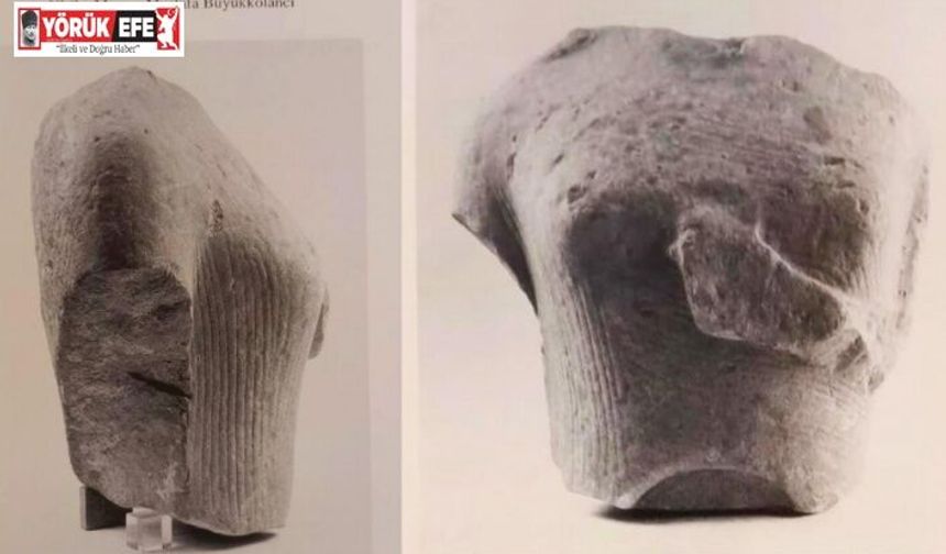 Doğaseverler Yılancıburnu’nun önemine dikkat çekti