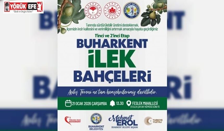 İncirde verim ve kalite için Buharkent’te örnek proje