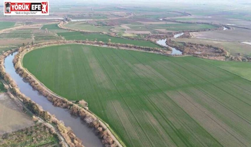 Menderes Nehri suya kavuştu