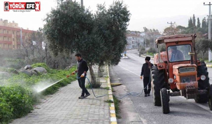 Bozdoğan’da yabani ot mücadelesi