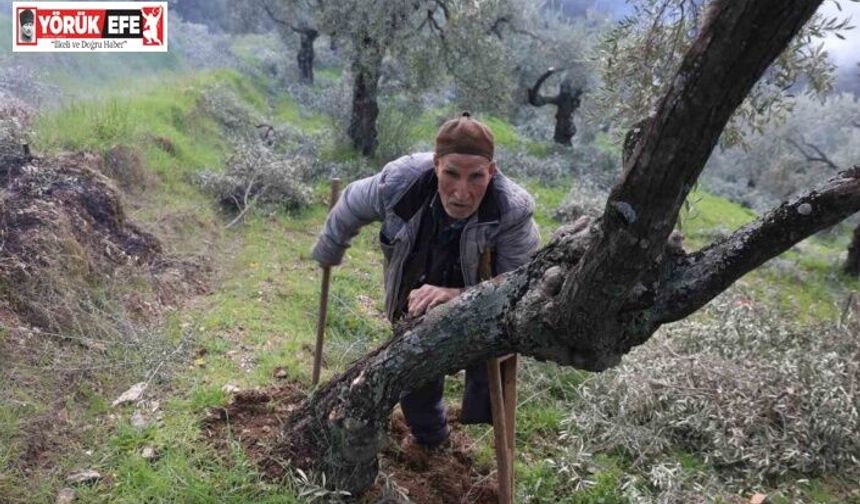 Film sahnesi değil gerçek hayat