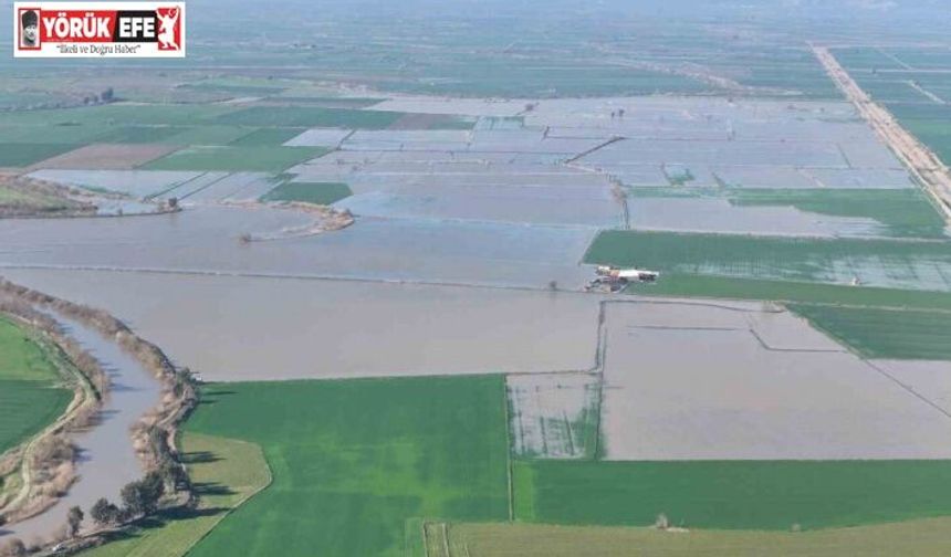 Menderes taştı, yüzlerce dönüm sular altında kaldı