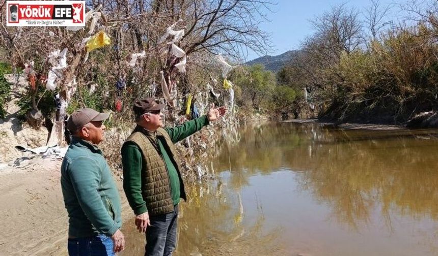 Aydın’ın içme suyunu karşılayacak Sarıçay’da kirlilik alarmı