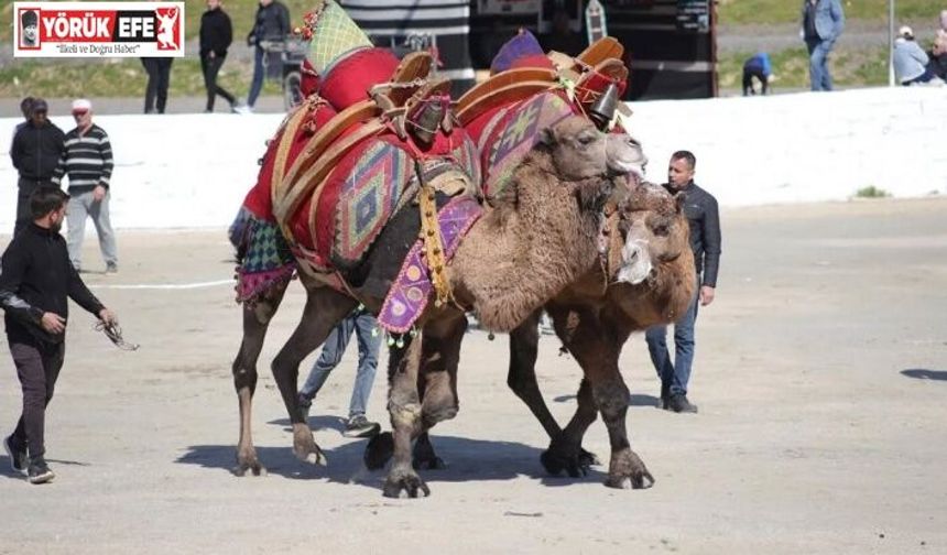 Başkan Kaya: "Bu yıl sezonun ilk güreşlerini yapmak bizlere nasip oldu"
