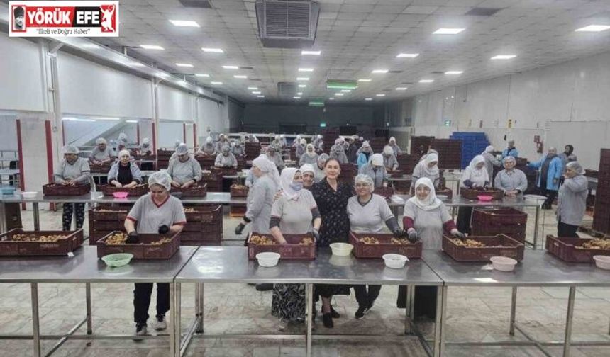 Kaymakam Kan: "Kadınlar yine kadınların hayatını kolaylaştırıyor"