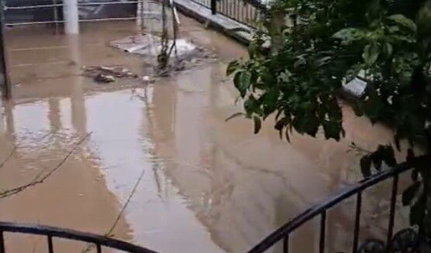 Didim'de sağanak yağış etkili oldu