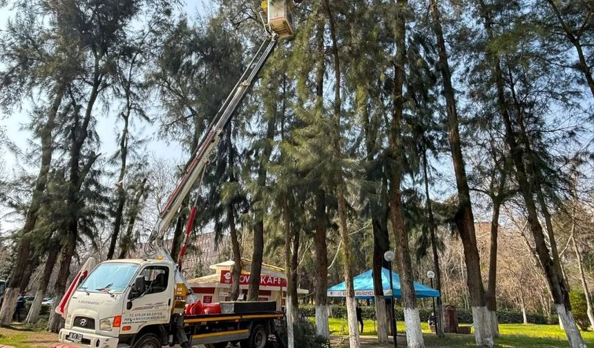 Efeler'de Pınarbaşı Mesire Alanı bakıma alındı