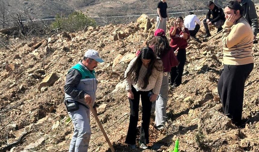 Orman Haftası'nda fidanlar toprakla buluştu