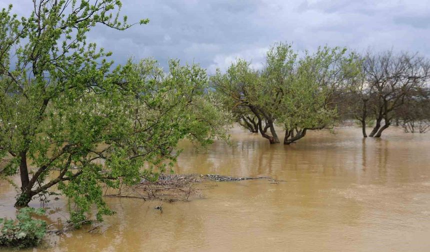 Sağanak yağış Menderes Nehri'ni taşırdı