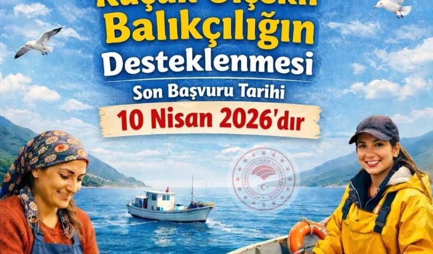 Aydın'da balıkçılık desteği başvuruları için son çağrı
