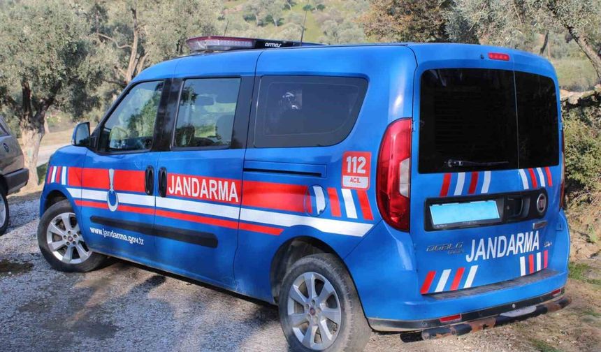 Aydın'da bir kişi ağaca asılı halde bulundu