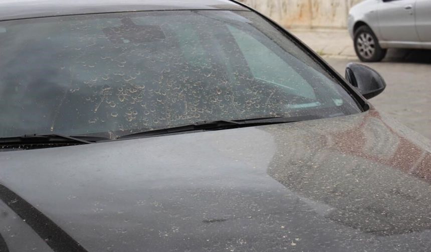 Aydın'da toz taşınımı bekleniyor