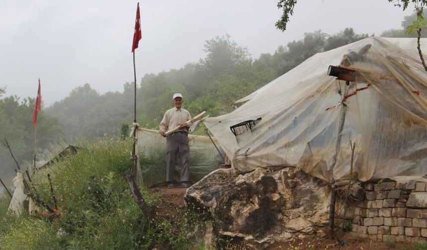 Aydın'ın Robinson'u modern hayata kavuşturuldu