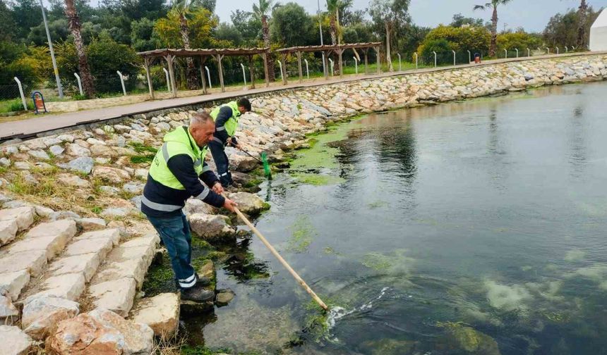 Didim'de temizlik ve düzenleme çalışmaları sürüyor