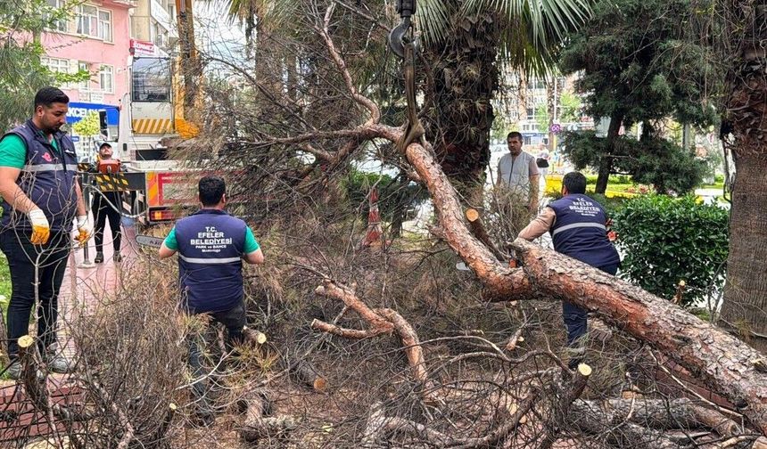 Efeler Belediyesi parkları güvenli hale getiriyor