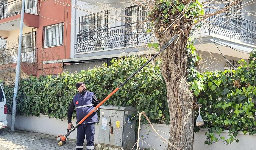 Efeler Belediyesi'nden tarihi mahallelerde çevre düzenlemesi