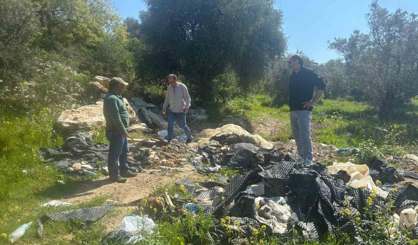 Endemik Tülüşah için inceleme yaptılar