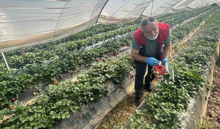 Köşk'ten Sultanhisar'a çapraz denetim