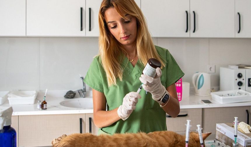 Kuşadası Belediyesi patili dostların yanında