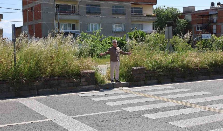 Nazilli Belediye Başkanı Tetik: 'Bu görüntüler Nazilli'ye yakışmıyor'