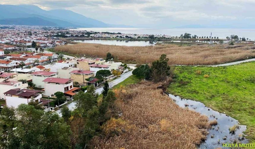 (SABAH)Kocagöl Lagünü'nün statüsünün belirlenmesi için 'Ön Değerlendirme Ekibi' kurulacak