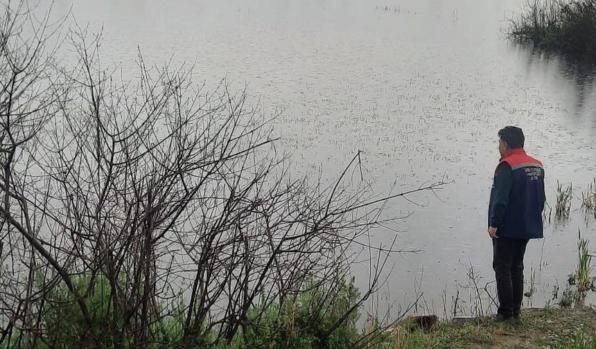 Söke'de sel sonrası tarım arazilerinde hasar tespiti sürüyor